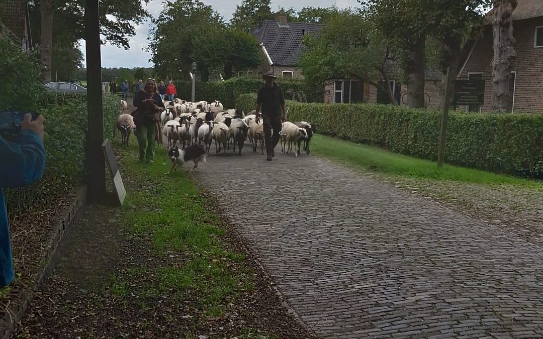 Een terugblik in woorden