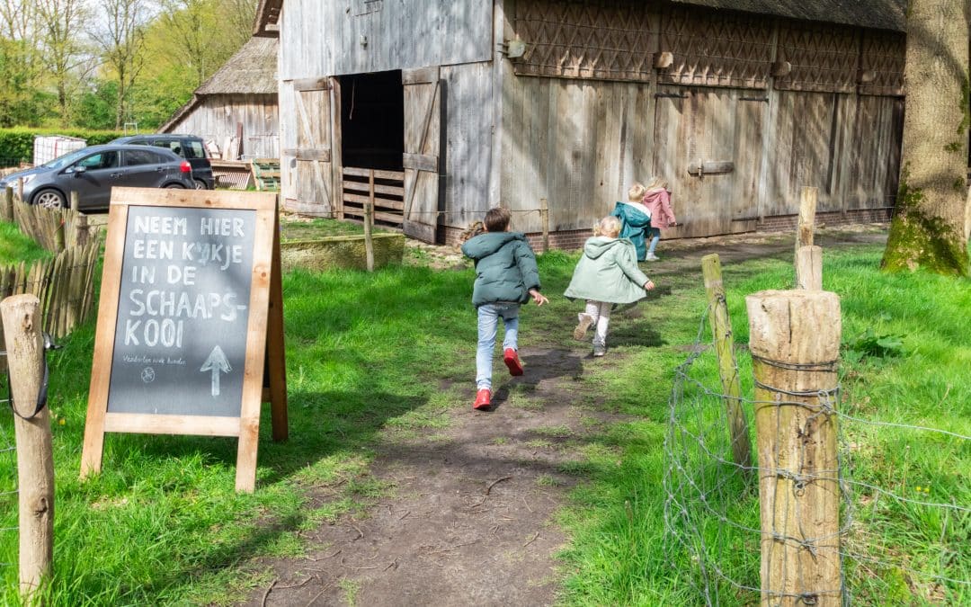 Het ‘Rondje Dorp’ met de Orvelter schaapskudde