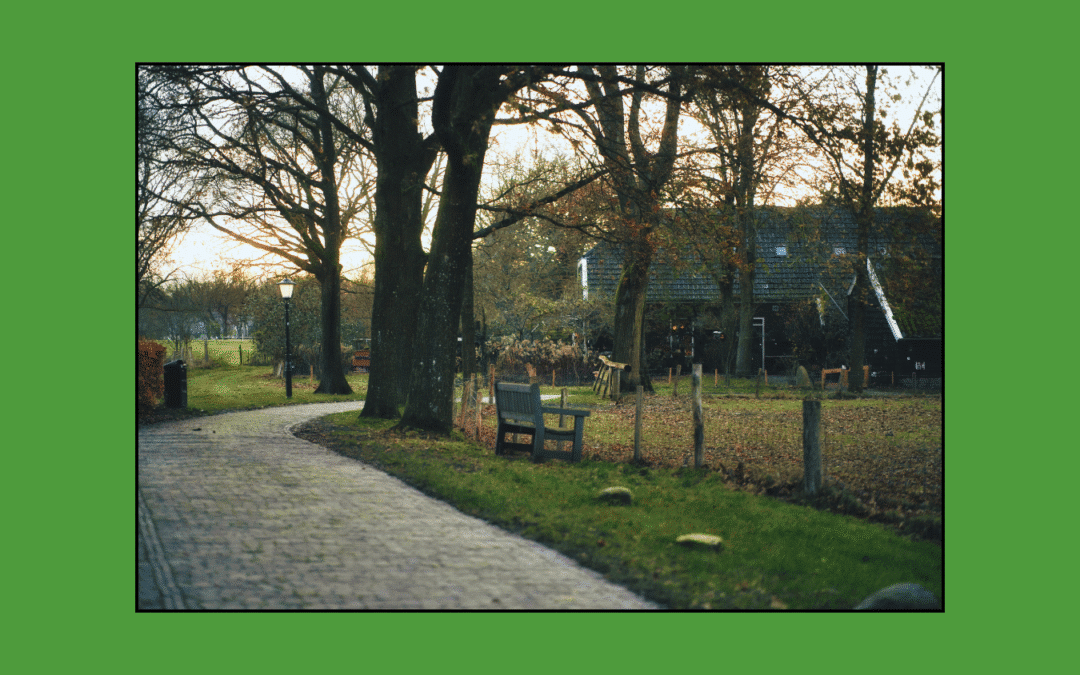 Stand van zaken Toekomstvisie Orvelte