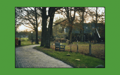 Stand van zaken Toekomstvisie Orvelte