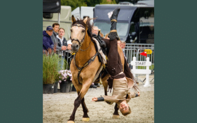 Dag van het Paard: al ruim veertig jaar een begrip in Orvelte